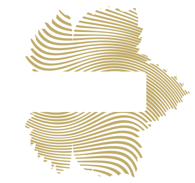 O nas - Winnica Morena