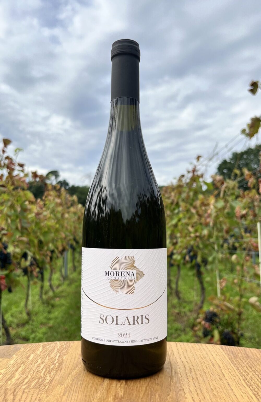 SOLARIS 2024