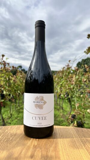CUVÉE 2023