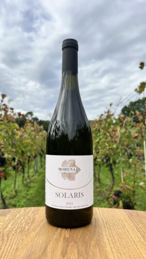 SOLARIS 2024