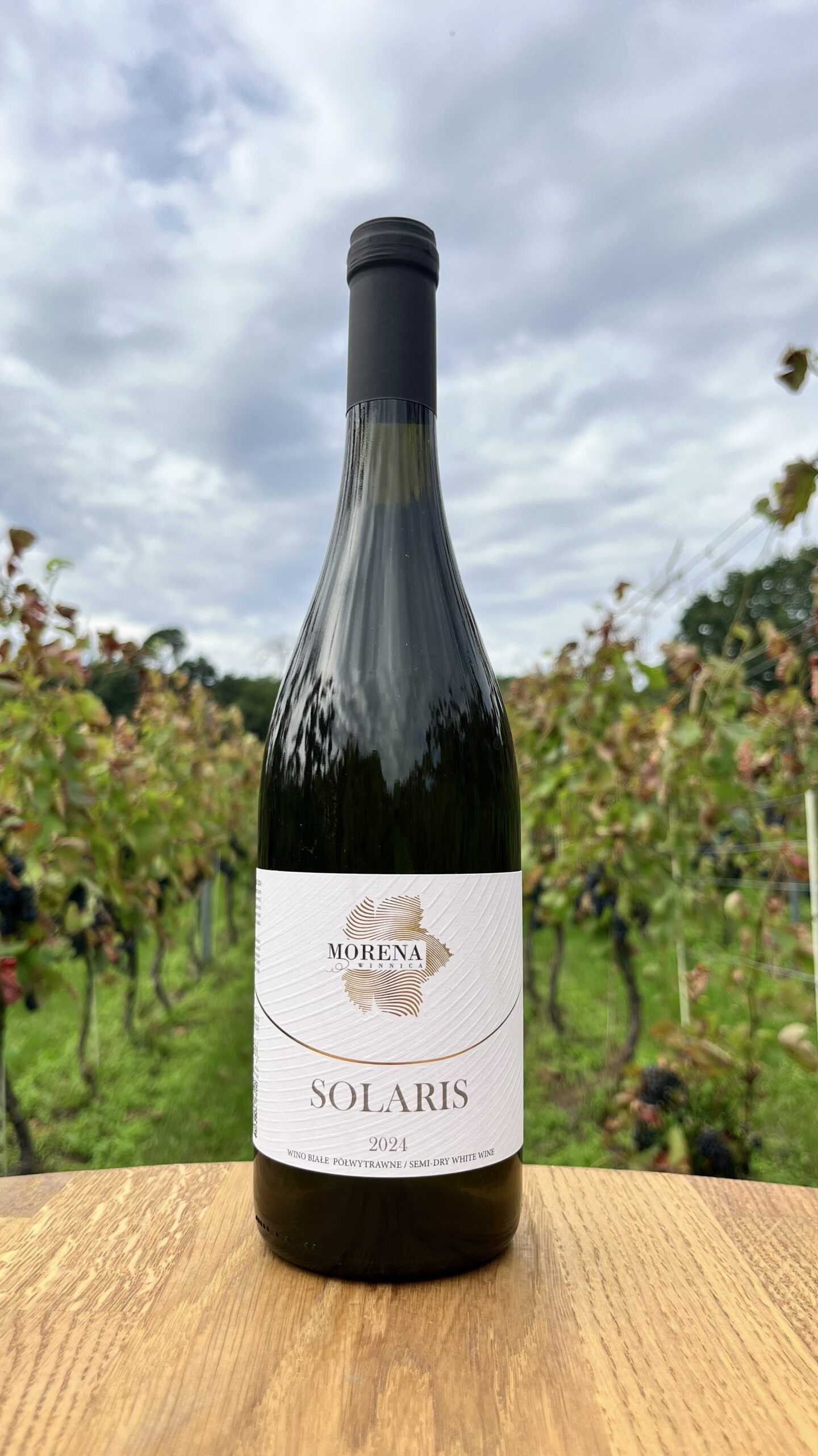SOLARIS 2024