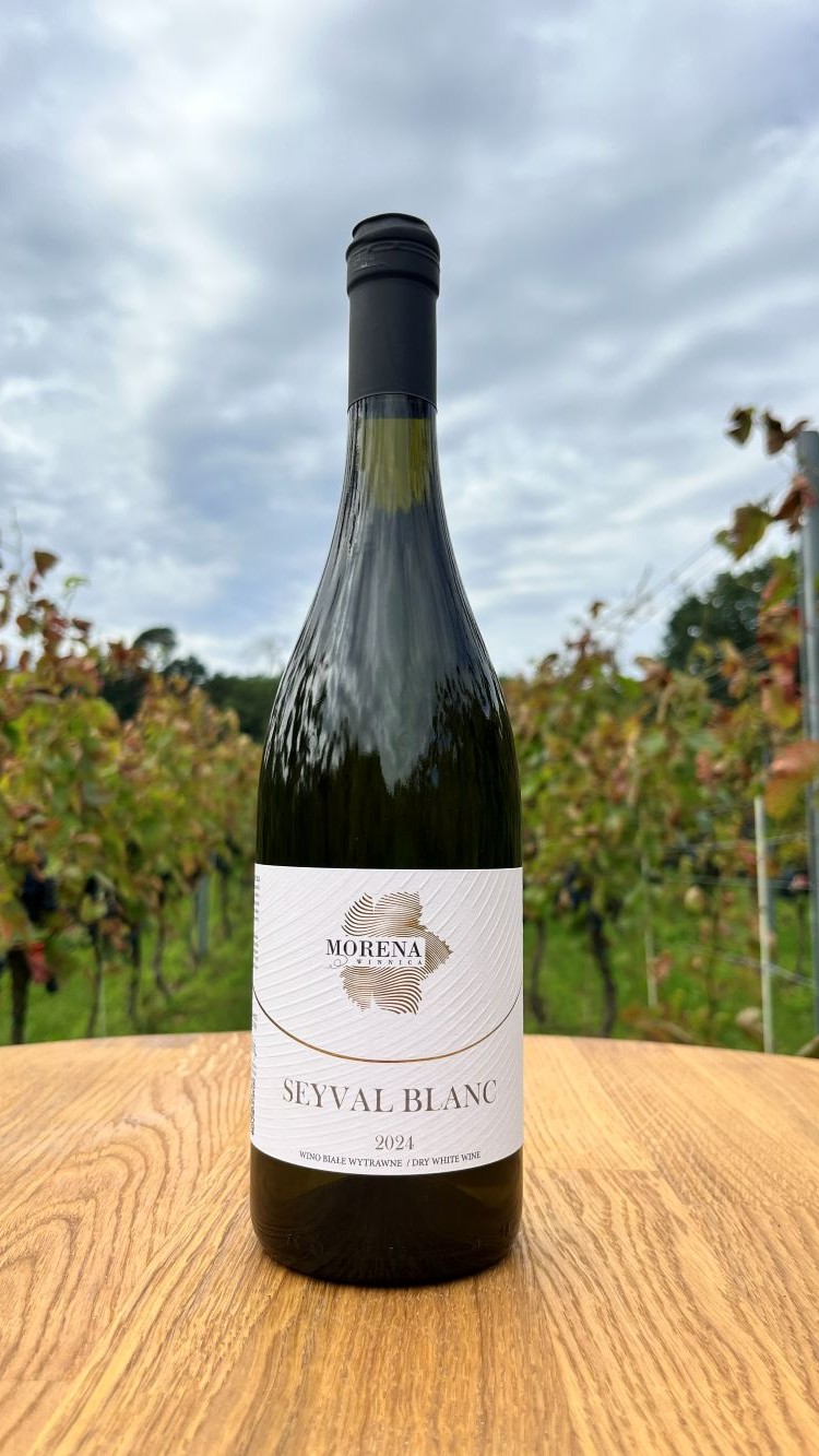 SEYVAL BLANC 2024